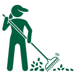 Electric Lawn Victoria BC - Lawn Care - Leaf & Moss Removal