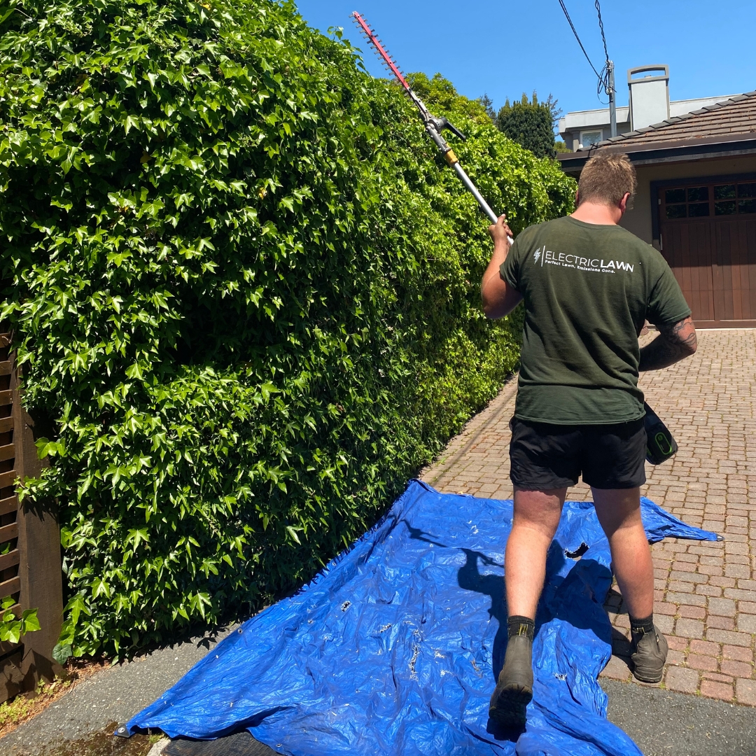 Electric Lawn Victoria BC - Lawn Mowing _ Lawn Care _ Yard Services 10