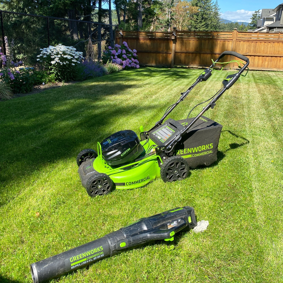 Electric Lawn - Victoria, BC - Lawn Mowing