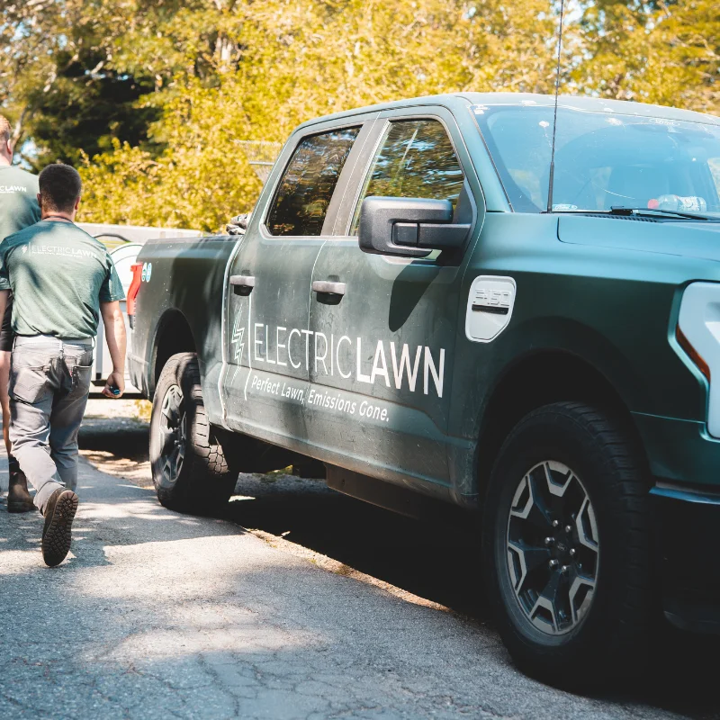 Electric Lawn - Victoria, BC - Earth first