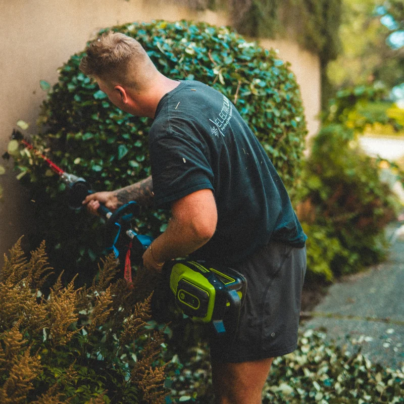 Electric Lawn - Victoria, BC - Hedge Trimming