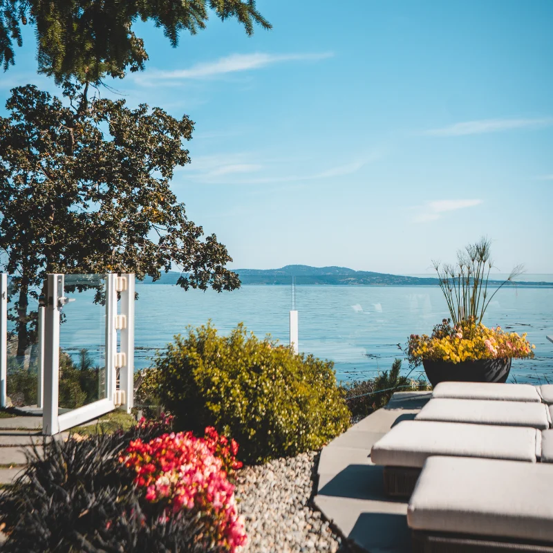 Electric Lawn - Victoria, BC - Pot gardening services