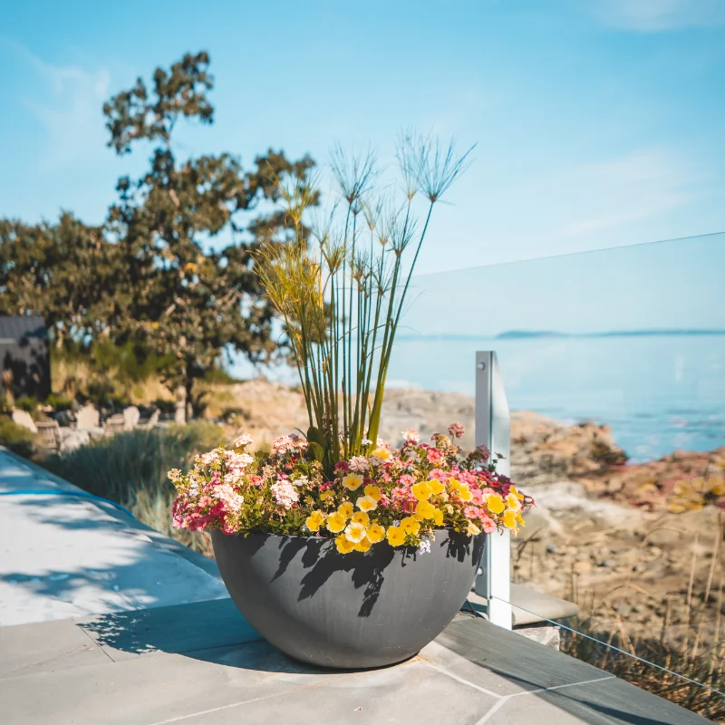 Electric Lawn - Victoria, BC - Planting Services