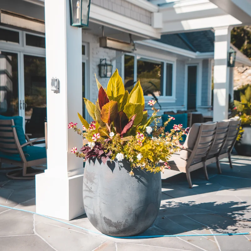 Electric Lawn - Victoria, BC - Pot gardening services