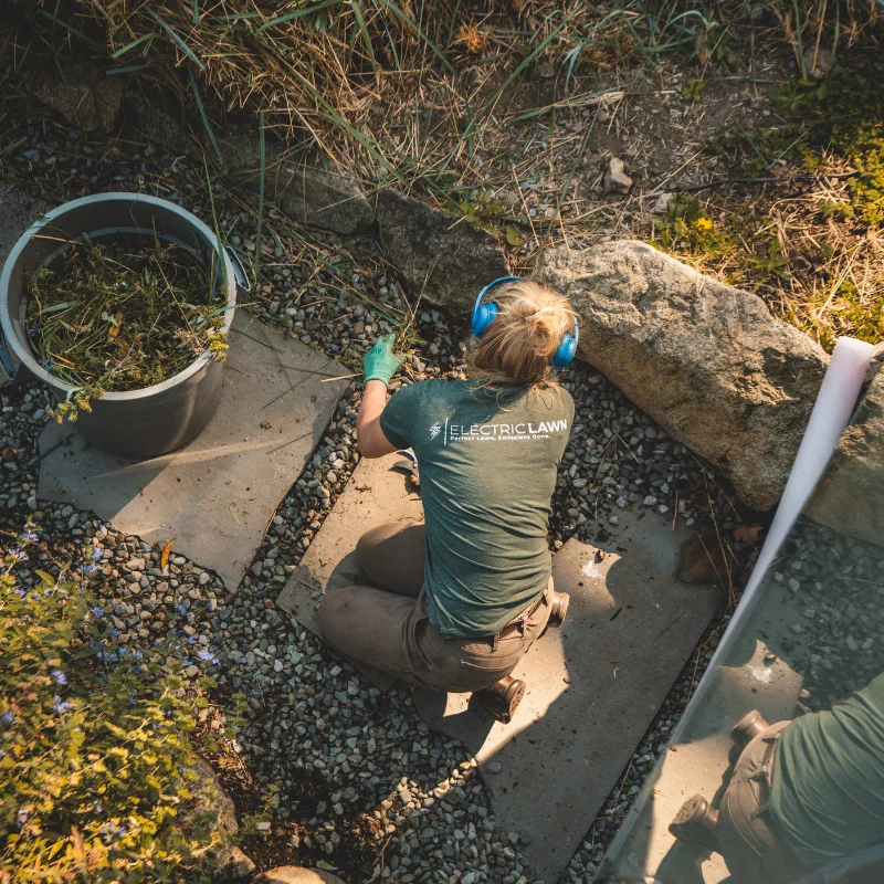 Electric Lawn - Victoria, BC - Yard Services